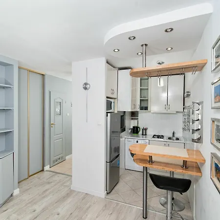 Dream Loft Grzybowska Apartment